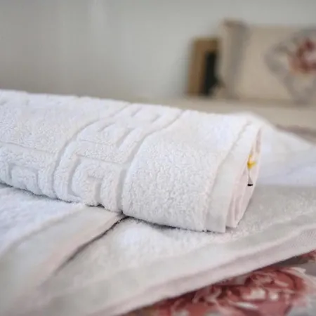 Pensión Casa Ralu 3*