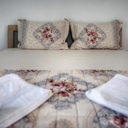 Casa Ralu בית הארחה קוסטינסטי