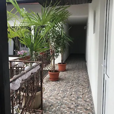 Casa Ralu 3*