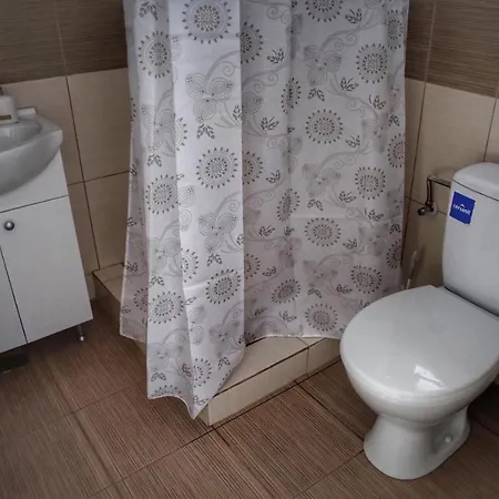 בית הארחה Casa Ralu קוסטינסטי