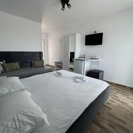 Guest house Casa Ralu Costinesti