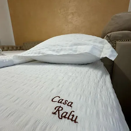 בית הארחה Casa Ralu קוסטינסטי